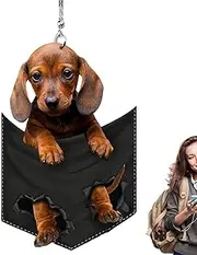 Dog Car Charm Pendant,2D Cute Car Puppy Pocket Pendant for Keychain - Home Key Backpack Accessory Pendant for Living Room Bedroom Keychain Bag