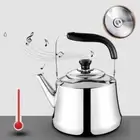 Stainless Steel Whistle Tea Kettle with Filter Teapot Induction Cookers