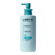 [LABO-H] Anti Dandruff & Hair Loss Care Shampoo - 750ml