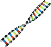 Kisangel Teaching Model Easy Build DNA Molecule Kit Science DNA Model for Boys and Girls