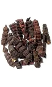 100% Natural Organic Premium Quality Shikakai Raw Form