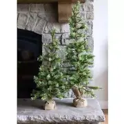 Slim Pine Trees in Burlap Bag