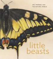 Little Beasts: Art, Wonder, and the Natural World by Alexandra Libby Hardcover B