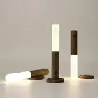 Motion Sensor LED Night Light Body Induction Lamp Wall Mount USB Rechargeable AU