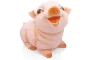 HW Cute Pig Coin Money Bank, Shatterproof Piggy Bank, Creative Money Bank, Can Store 1000 Coins, Best Bitrthday Gift, Stare Piggy WK7-D3
