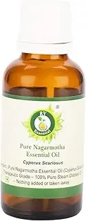 Nagarmotha Essential Oil | Cyperus Scariosus | Pure Nagarmotha Oil | Pure Nagarmotha Essential Oil | 100% Pure Natural | Steam Distilled | Therapeutic Grade | 50ml | 1.69oz By R V Essential