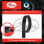 5 Rib Multi V Drive Belt fits CHEVROLET CRUZE 1.4 13 to 15 LDD Gates 55562422