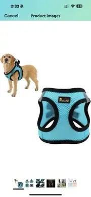 Plutus Pet Step In Dog Harness Adjustable Reflective Soft Med Sky Blue New