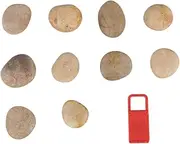 KALLORY Create Your Own Art 10 Pack Boys and Girls Drawing Stones Hand-Painted Rocks Bracket Natural Pebbles for DIY