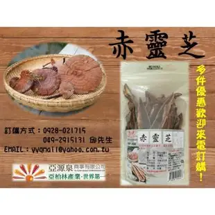 【亞源泉】 野生赤靈芝100g 3包一組(切片)