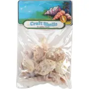 Sea Shell Mixes 10/Pkg-Medium World, 67113