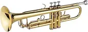 Labymos TR-100 B flat Standard Student Trumpet Bb Key Brass Gold Lacquer Trumpet with Hard Case Straps 7C Mouthpiece Gloves Cleaning Cloth for Beginners Students Music Fans and Band