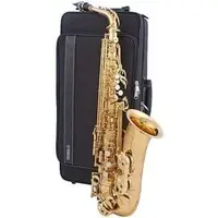 在飛比找PChome商店街優惠-全新 Yamaha YTS-480 TENOR SAX 次中