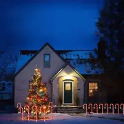 Solar LED Candy Cane Lights for holiday christmas xmas home lawn garden pathway