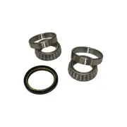 1 x Trupro Front Wheel Bearing Kit for Mitsubishi Express SF SG SH SJ 4WD