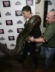 Musician Matt Willis a reptile handler carry a reticulated python - Old Photo