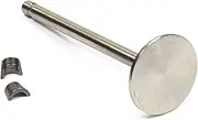 Briggs and Stratton 394435 Intake Valve