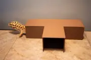 3 Way Hide for Leopard Geckos and Other Reptiles (Multiple Colors Available)