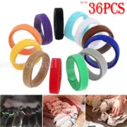 12-36x Whelping ID Collar Bands Pet Puppy Kitten Identification Collar Tag Color