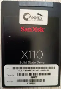在飛比找Yahoo!奇摩拍賣優惠-SanDisk/閃迪  X110  128GB 256G M