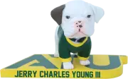Jerry the Bulldog Arkansas Tech Wonder Boys & Golden Suns Mascot Bobblehead NCAA
