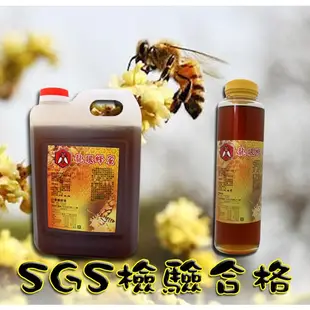 SGS認證 龍眼蜜 桂圓蜜 台灣蜂蜜 純蜂蜜 純天然零添加 南投小農自產自銷 3公斤/5台斤/800g