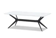 BLAZE Coffee Table