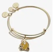 NEW Alex and Ani FRIENDS HOLIDAY ARMADILLO Charm Bangle Bracelet Gold NWT