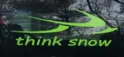 Snowmobile Decal (GREEN) "think snow" 24"x9" Custom Design