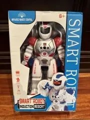 Smart Robot Induction Robort Infrared Remote Control Brand New