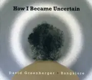 David Greenberger - How I Became Uncertain [New CD]