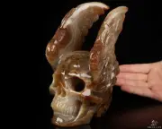 AMAZING 7.2" Agate Geode Carved Crystal Skull & Wing, Crystal Healing