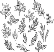 Temporary Tattoo,Leaf HC-BB-858,Leaf Tattoos,Lasts 1-2 Weeks,Resilience,Real Tattoo Look,Water-Resistant,18 x 11 cm