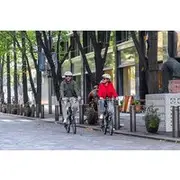 Save 10.00%! 3hr Private E-bike Tours in Tokyo, Starting at your hotel