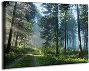 CARANGA Green Pine Tree Canvas Wall Art 16x24 Nature Pictures Canvas Artwork Foggy Morning Road in The Forest Wall Decor Living Room Bathroom Bedroom (Forest, 16x24 inch)