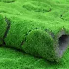 Moss Grass Mat 50/100cm Artificial Moss Fairy Garden Terrarium DIY Home Decor