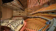 Lime Cordiale and The Melbourne Symphony Orchestra