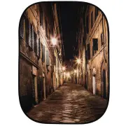 Lastolite BG Perspectve 150x210cm Evening Street & Ivy Archway Double/s Mag mount