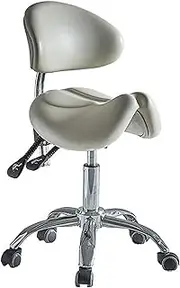 Medical Dental Stool Dentist Chair, Saddle Stool Chair,with Back Support Hydraulic Rolling Stool Chair,Stool Chair for Salon Spa Beauty Massage Dental Clinic Home Office Use
