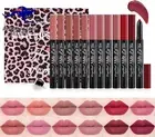 12 Colors Lipsticks Set, Matte Lipstick with Gift Box, Velvet Nude Lipstick Pen
