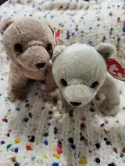 TY Beanie Babies - ALMOND AND PECAN BEAR (1999) New with errors