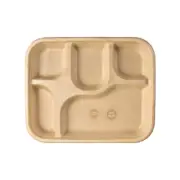 Disposable Plates 5 Compartment Biodegradable Eco-Friendly Pack of 25 - 11.5inch