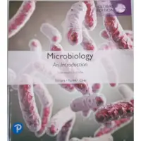 在飛比找蝦皮購物優惠-Microbiology: An Introduction 