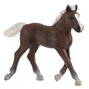 Schleich 3.2'' Black Forest Foal Horse Animal Action Figure Kids Play Toy 3-8y