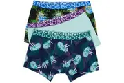 Bonds 3 Pairs Boys Trunks Underwear Dinosaur Print 8Vi