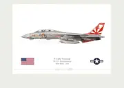 Warhead Illustrated F-14A Tomcat VF-111 Sundowners Miss Molly Aircraft Print