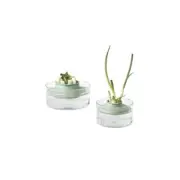 Brabantia - Herb & Vegetable Re-Grow Kit