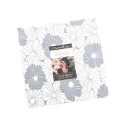 Color Crush Layer Cake® 10880LC Moda Precuts pre-cut Layer Cake 10" squares qui