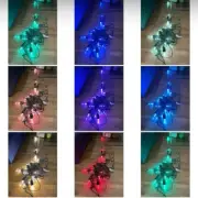 48 ft LED Color Changing RGB String Lights with 15 Sockets
