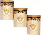 Medusa Luxe Set of Three Canister Set Sugar, Tea and Coffee